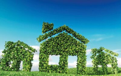 Exercise Your Right To Environment: Here’s How To Build A Sustainable Home